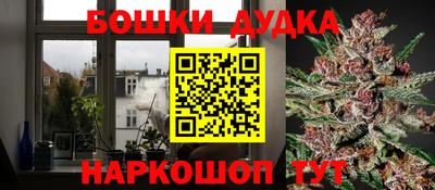 молекула духа Брянск