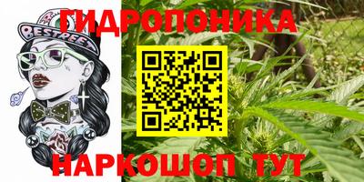 молекула духа Брянск