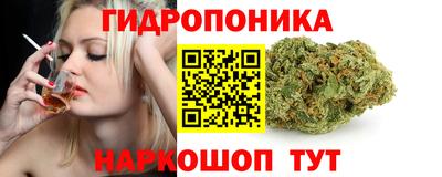 молекула духа Брянск