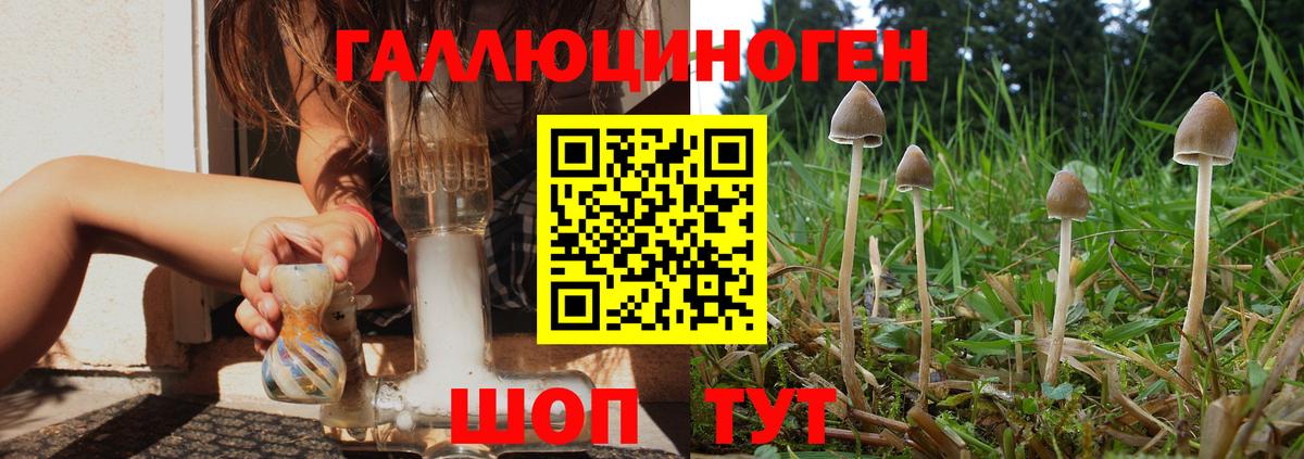 Галлюциногенные грибы MAGIC MUSHROOMS Белорецк